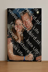 Evenement foto: Serie 2109