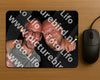 Evenement foto: Serie 2109