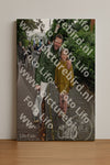 Evenement foto: Serie 2048
