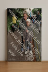 Evenement foto: Serie 2048