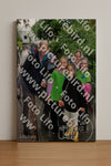 Evenement foto: Serie 2048