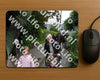 Evenement foto: Serie 2048