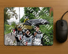 Evenement foto: Serie 2048