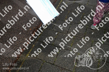 Evenement foto: Serie 2048