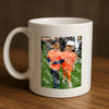 Evenement foto: Serie 2047
