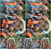 Evenement foto: Serie 2047