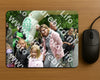 Evenement foto: Serie 2047