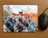 Evenement foto: Serie 1278