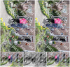 Evenement foto: Serie 1278