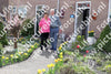 Evenement foto: Serie 1278