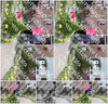 Evenement foto: Serie 1278