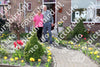 Evenement foto: Serie 1278