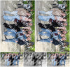 Evenement foto: Serie 1787