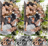 Evenement foto: Serie 1787