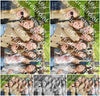 Evenement foto: Serie 1787