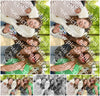 Evenement foto: Serie 1787