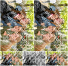 Evenement foto: Serie 1787