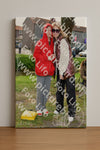 Evenement foto: Serie 1789