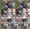 Evenement foto: Serie 1789