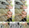 Evenement foto: Serie 1814