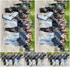 Evenement foto: Serie 1814