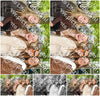 Evenement foto: Serie 1814