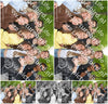 Evenement foto: Serie 1814