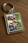 Evenement foto: Serie 1814