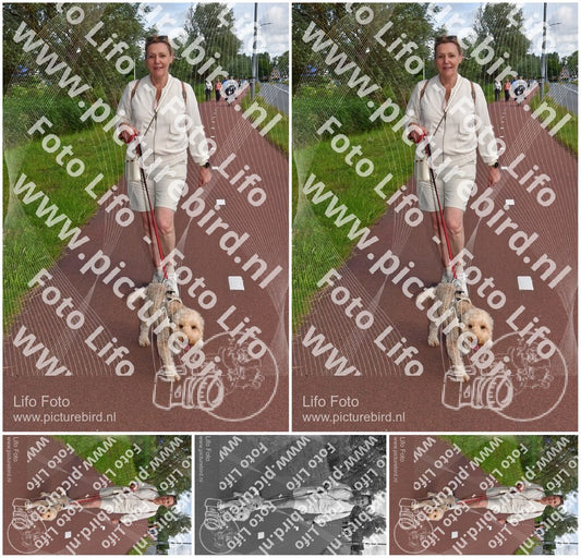 Evenement foto: Serie 221