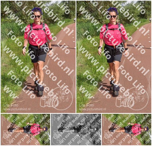 Evenement foto: Serie 221