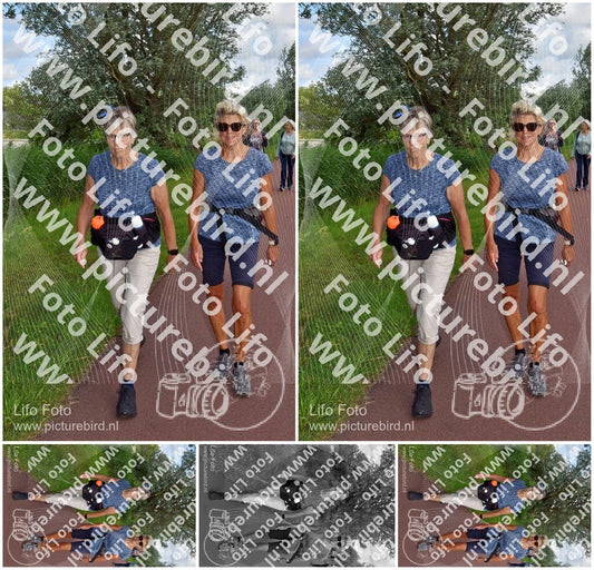 Evenement foto: Serie 221