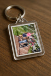 Evenement foto: Serie 221