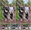 Evenement foto: Serie 221