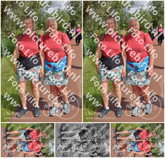 Evenement foto: Serie 221