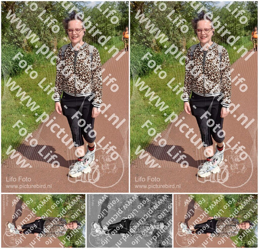 Evenement foto: Serie 221