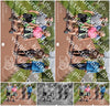 Evenement foto: Serie 221