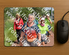 Evenement foto: Serie 222