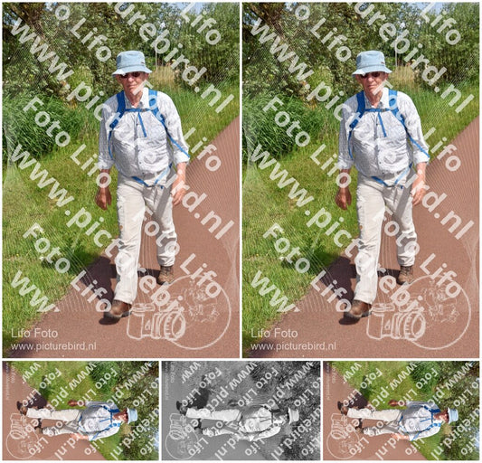 Evenement foto: Serie 222