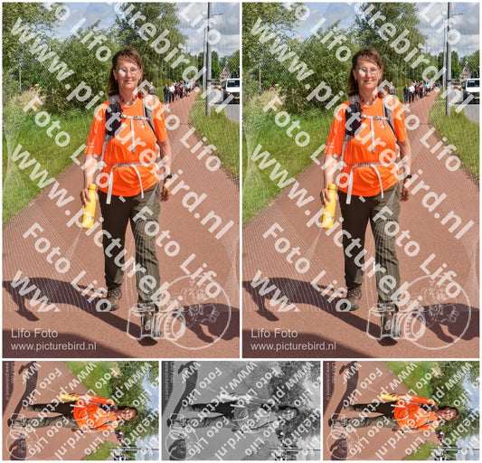 Evenement foto: Serie 222