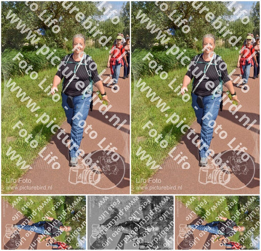 Evenement foto: Serie 222