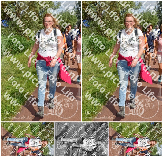 Evenement foto: Serie 222