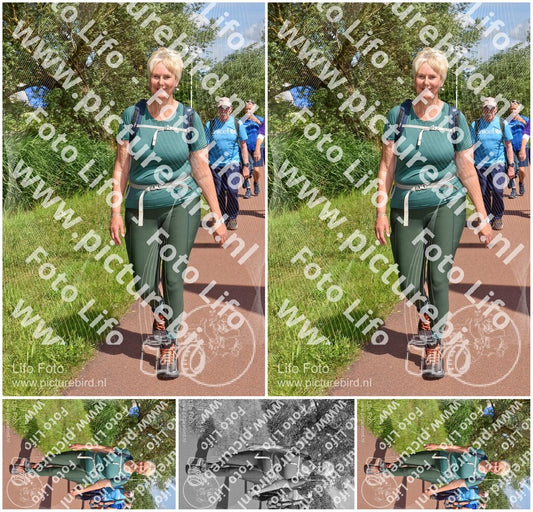 Evenement foto: Serie 222