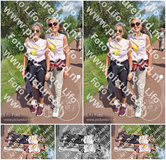 Evenement foto: Serie 222