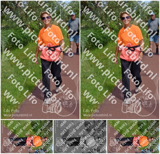 Evenement foto: Serie 223