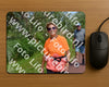 Evenement foto: Serie 223