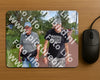 Evenement foto: Serie 223