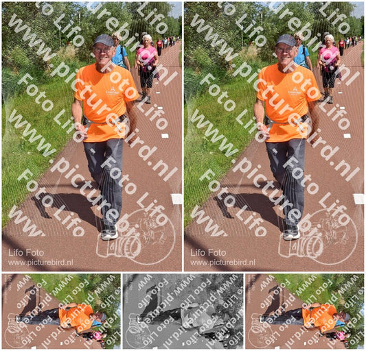 Evenement foto: Serie 223