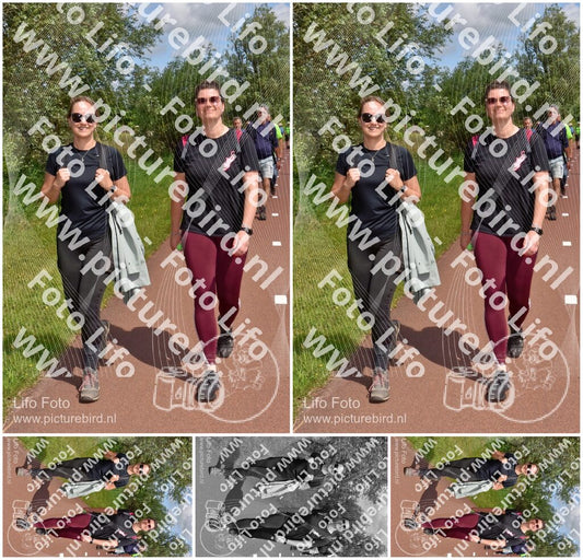 Evenement foto: Serie 223