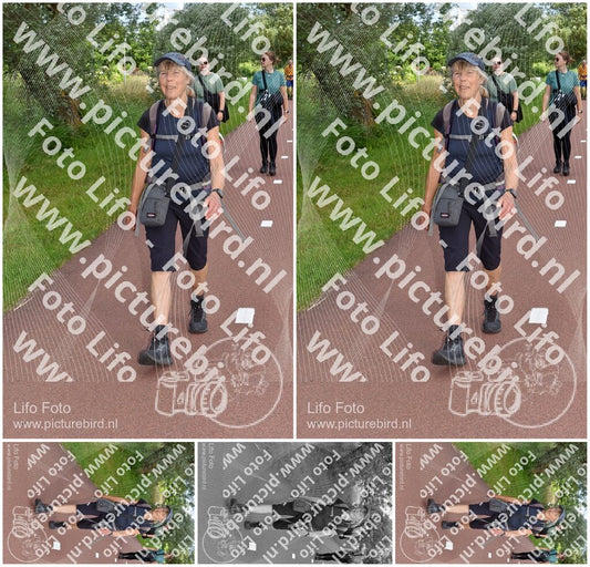 Evenement foto: Serie 223
