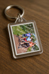 Evenement foto: Serie 223
